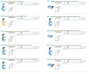 FRENCH BLOW GUN DISPLAY 50x065